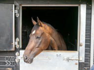 PN030825-171 - Len